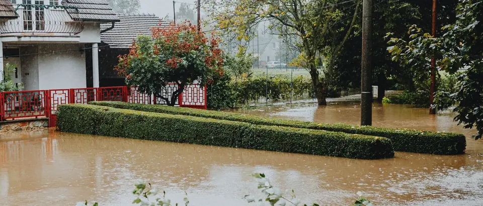 Brown flood water covering a yard up to a clipped hedge and the fence of a white house, in rain under a grey sky